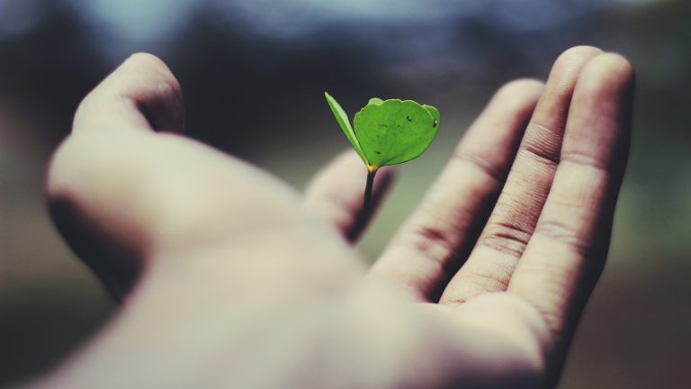 01-Empowering-Growth (1)